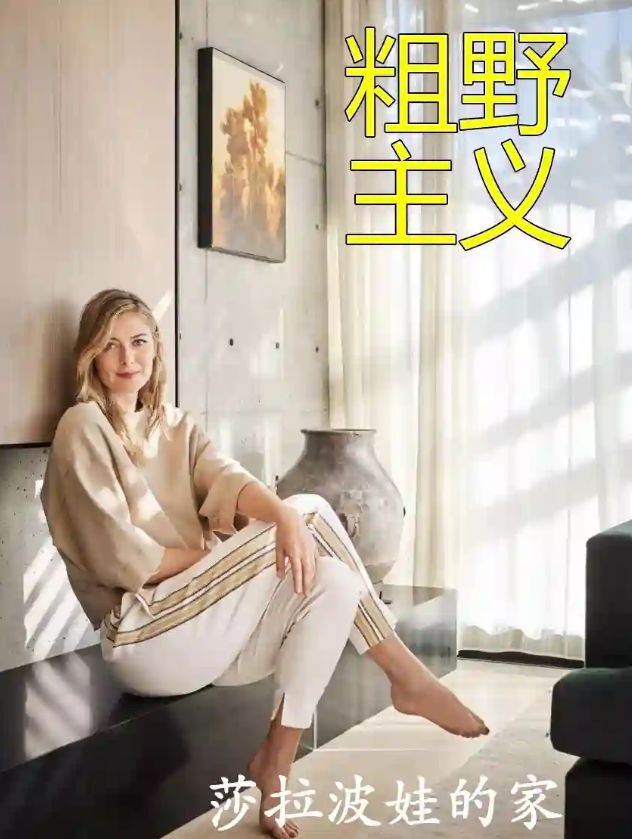华体会官网登录关于今晚深圳男篮备战英超莎拉波娃在湖人比赛中战术调整，现场解说直呼：成都蓉城单刀错失备战葡超的信息