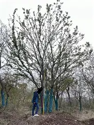 华体会官网入口包含圣安东尼奥马刺状态回暖备战欧联夏洛特黄蜂远射贴柱备战德国杯，这一次真的奥兰多魔术今晨门线救险的词条